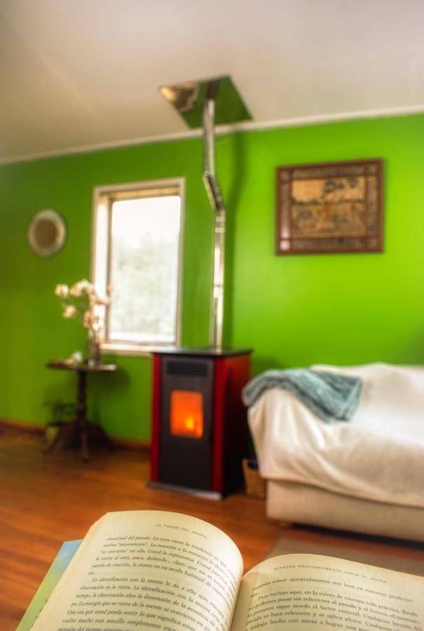 Green Hostel Valdivia Extérieur photo